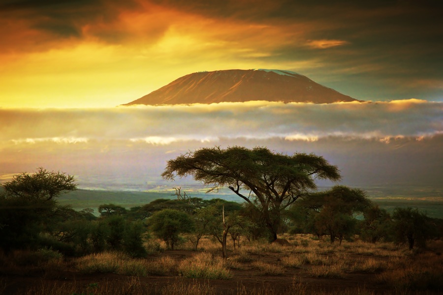 Find yourself ahead of the crowd on a family adventure trip