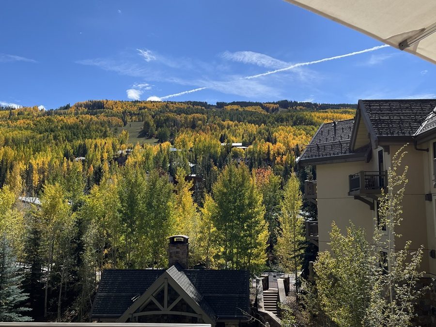 Arts and Fall Colors in Vail CO